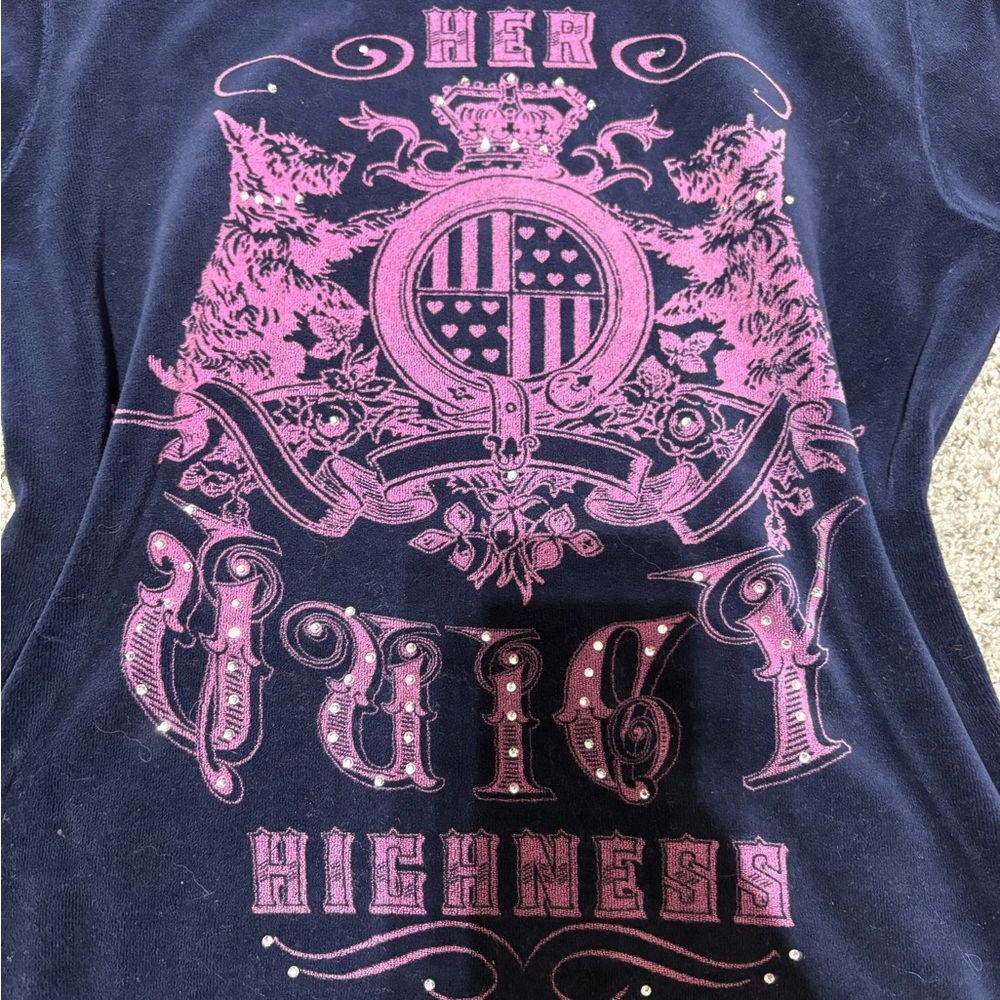 Juicy Couture Blue and Pink Sweatshirt with Ornate Design